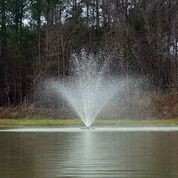 Edisto Fountain Spray