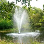 Vanguard Palmetto Fountain Spray