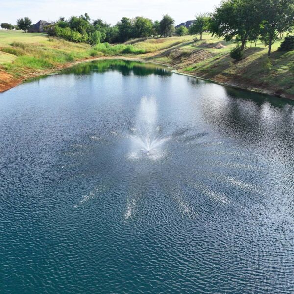  Stainless Steel Series 1 HP Fountain