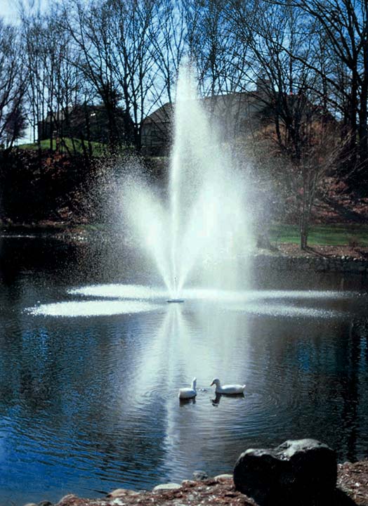 Scott Aerator 1 HP Clover Fountain in a large lake with ducks