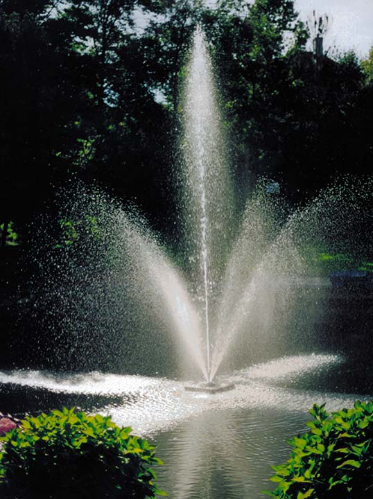 Scott Aerator 1 HP Clover Fountain in a residential pond