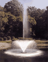 Skyward 1/2 HP Pond Fountain