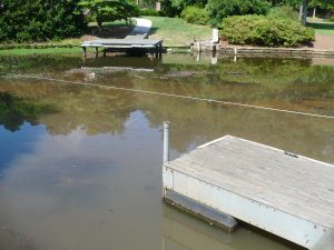 Pond Muck in a large residential pond